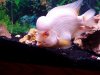 6-19-2010 018.JPG 6-19-2010 018.JPG