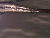 IMG00943-20100624-1329.jpg