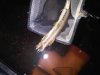 IMG00949-20100624-2116.jpg