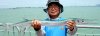 Needlefish.jpg