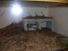 DSCN1687.JPG DSCN1687.JPG