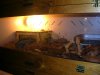 DSCN1688.JPG