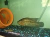 DSC01305.JPG