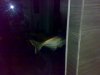 06302010167.jpg