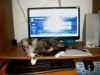 july 2010 120.jpg july 2010 120.jpg