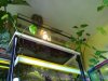 050720109977 [640x480].jpg
