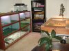 DSC00214.JPG