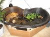 DSC00189.JPG