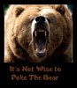 dontpokebear.jpg