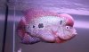 20100702104126.jpg 20100702104126.jpg