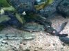 20100711858.jpg