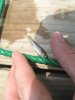 Random Pics 001.jpg