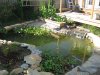 Random Pics 011.jpg