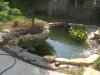 Random Pics 018.jpg