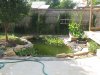 Random Pics 020.jpg