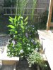Random Pics 026.jpg