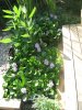 Random Pics 027.jpg