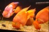 2010-07-15_183753.jpg