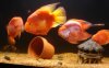 2010-07-15_183809.jpg