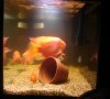 2010-07-15_191938.jpg