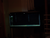 Picture 2.png