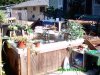 Pond 0100.jpg