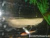 DSC00636%20%282%29.JPG