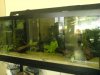 DSC00221.JPG