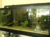 DSC00222.JPG
