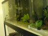 DSC00219.JPG