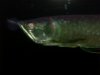 DSCN1766.JPG