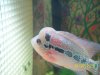 100_2292.JPG