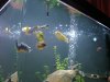 DSC07810.JPG