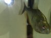 03152009785.jpg