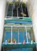 Outer filter with feeder fishes.jpg