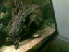 20100724914.jpg