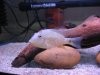 007.JPG