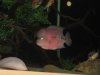 IMG_2880.jpg IMG_2880.jpg