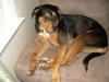 Kaiah 2009-06-02.jpg