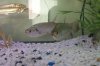 100_0345.JPG