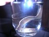 Picture or Video 015.jpg