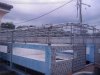 IMAG0098.jpg