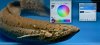 watermark with paint.net4.jpg watermark with paint.net4.jpg