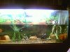 Picture0126.jpg