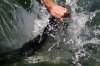 mini season 2010 220.JPG