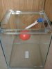 Top up Tank 001.JPG