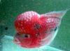 20100804133852.jpg