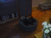 DSC01754.JPG