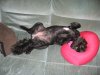 relaxingzo.jpg