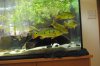 Picture 003.jpg